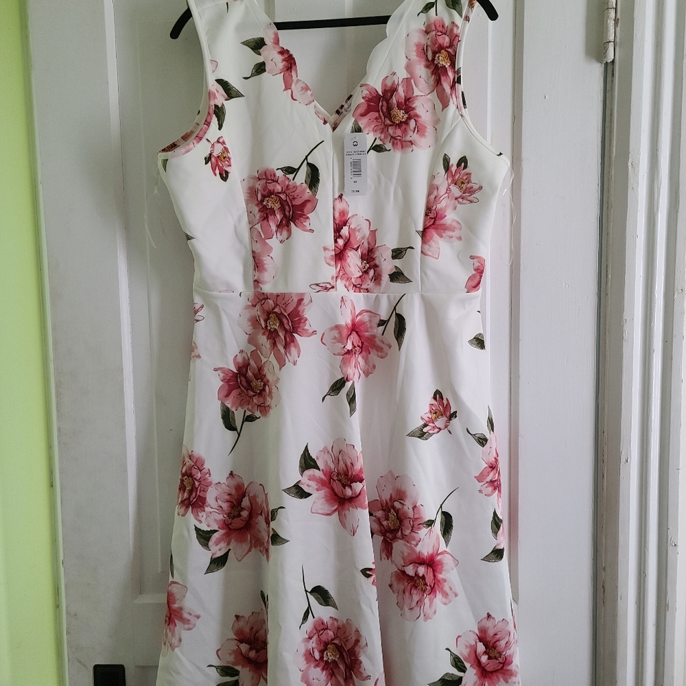 BNWT Scalloped neck dress - Picture 1 of 2
